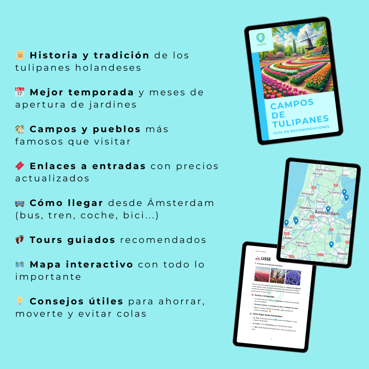 Guías de recomendaciones - AMSTERDAM | Consejos, transportes, mapas, restaurantes, actividades, apps