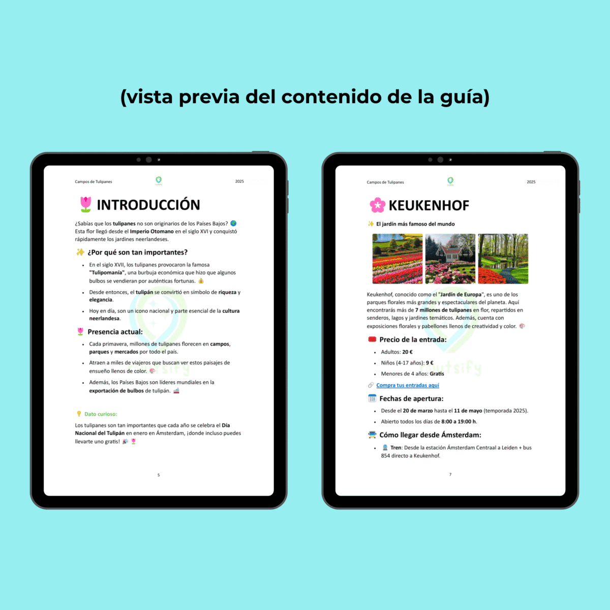Guías de recomendaciones - AMSTERDAM | Consejos, transportes, mapas, restaurantes, actividades, apps