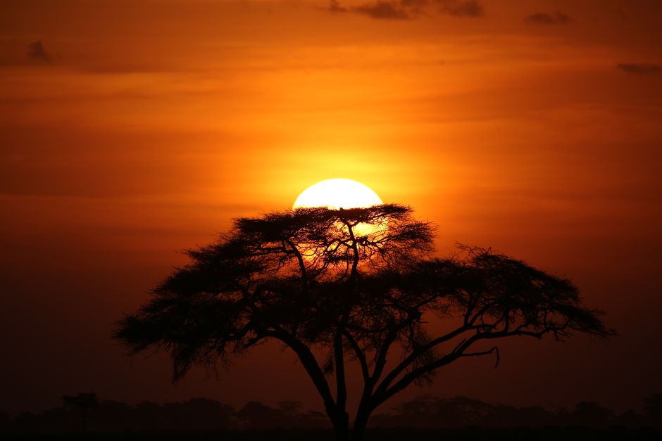 Safari Tanzania y Zanzíbar: ruta ideal para parejas y lunas de miel Puesta de sol en el Serengeti durante un safari en Tanzania