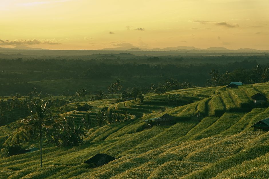 Terrazas de arroz en Bali al atardecer para un viaje a medida