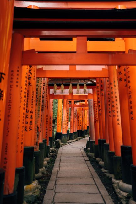 Pasos de torii en un santuario de Kioto, Japón