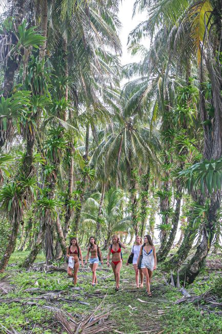 Panamá en 8 días: ciudad, selva, islas y Caribe Panamá en 8 días: playa con palmeras en Bocas del Toro