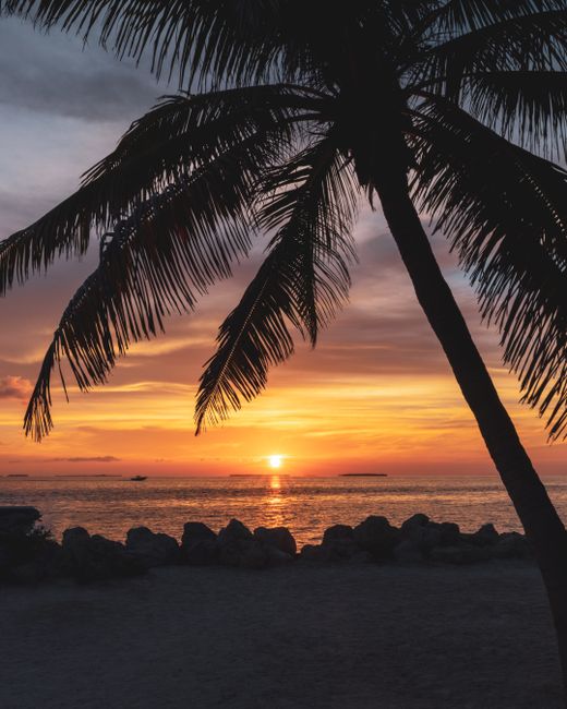 Florida en familia: Orlando, Miami y los Cayos en 10 días Atardecer en los Cayos de Florida con playa y palmeras