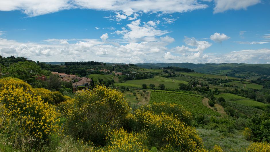 Viñedos y colinas de la Toscana, paisaje típico de Italia