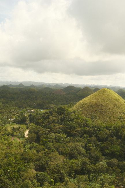 Formaciones de Chocolate Hills en Bohol, Filipinas