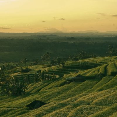 Terrazas de arroz en Bali al atardecer para un viaje a medida