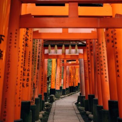 Pasos de torii en un santuario de Kioto, Japón